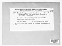 Image Associated With the Occurence